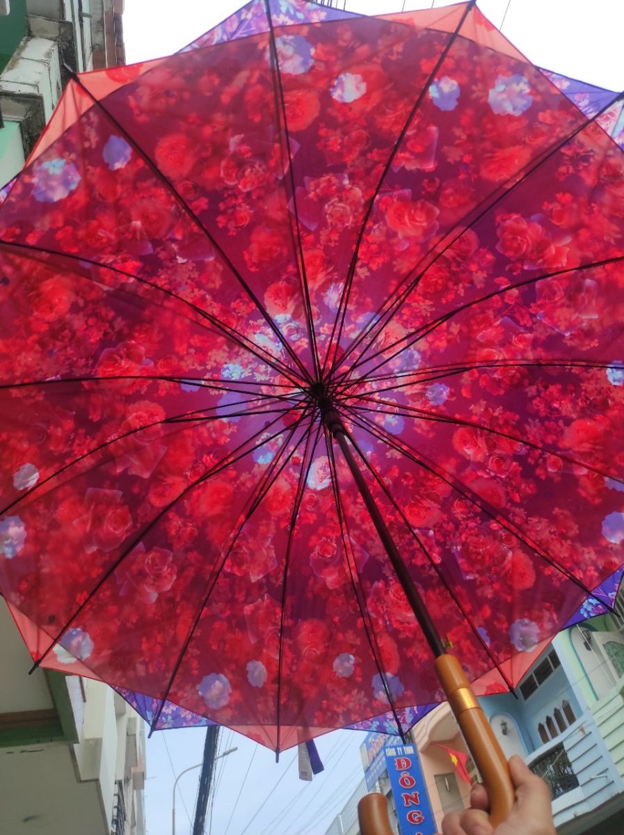 Dù Bấm Xếp 2 Chiều 118X95Cm