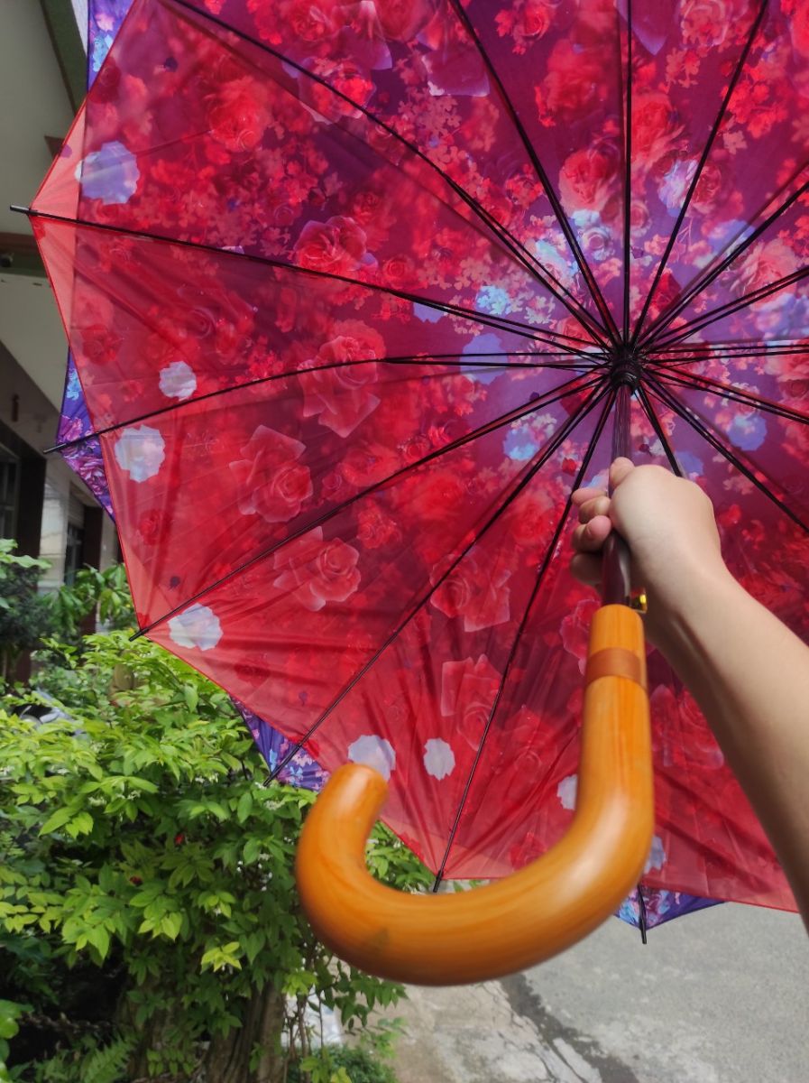 Dù Bấm Xếp 2 Chiều 118X95Cm