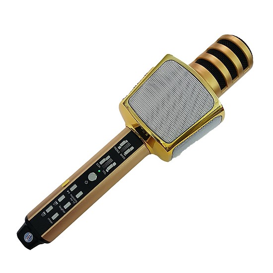 Mic Karaoke 3In1 Sd 17