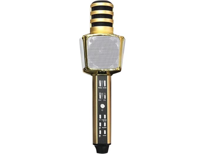 Mic Karaoke 3In1 Sd 17