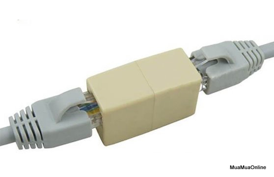 Đầu Nối Mạng Rj45