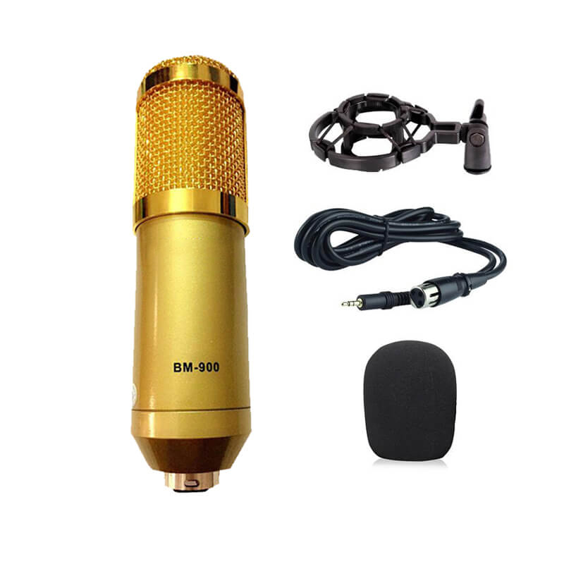 Mic Bm-900