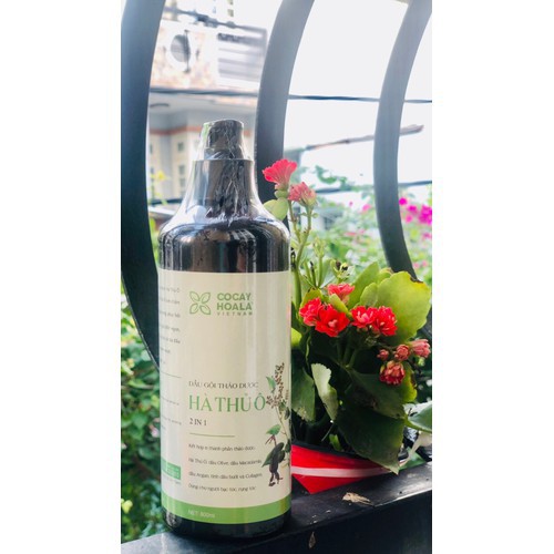 Dầu Gội Hà Thủ Ô Giảm Các Triệu Chứng Ngứa Da Đầu, Giảm Tóc Bạc Sớm, Làm Sạch Gầu (T108) (Chai) Dầu Gội Hà Thủ Ô Giảm Các Triệu Chứng Ngứa Da Đầu, Giảm Tóc Bạc Sớm, Làm Sạch Gầu (T108) (Chai)