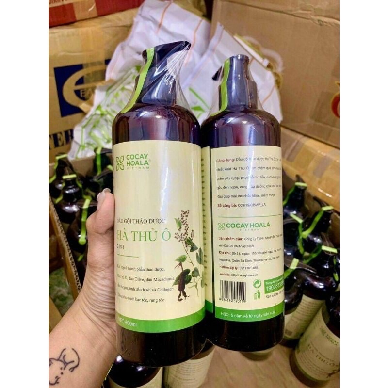 Dầu Gội Hà Thủ Ô Giảm Các Triệu Chứng Ngứa Da Đầu, Giảm Tóc Bạc Sớm, Làm Sạch Gầu (T108) (Chai) Dầu Gội Hà Thủ Ô Giảm Các Triệu Chứng Ngứa Da Đầu, Giảm Tóc Bạc Sớm, Làm Sạch Gầu (T108) (Chai)