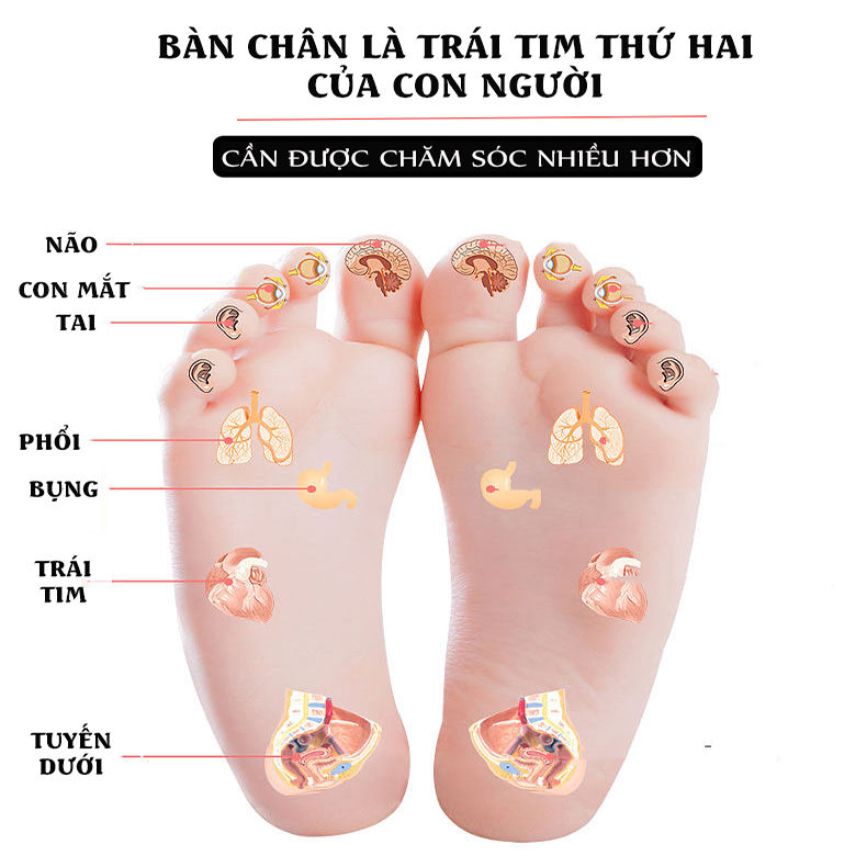 Thảm Massage Chân Ems Sạc Usb Kèm Remote Thảm Massage Chân Ems Sạc Usb Kèm Remote