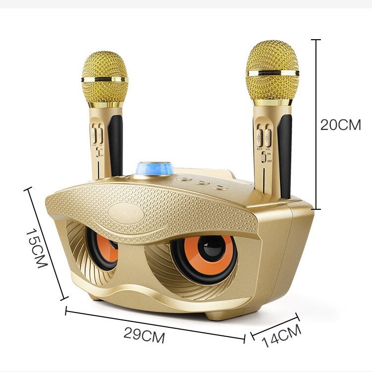 Loa Bluetooth Sdrd 306