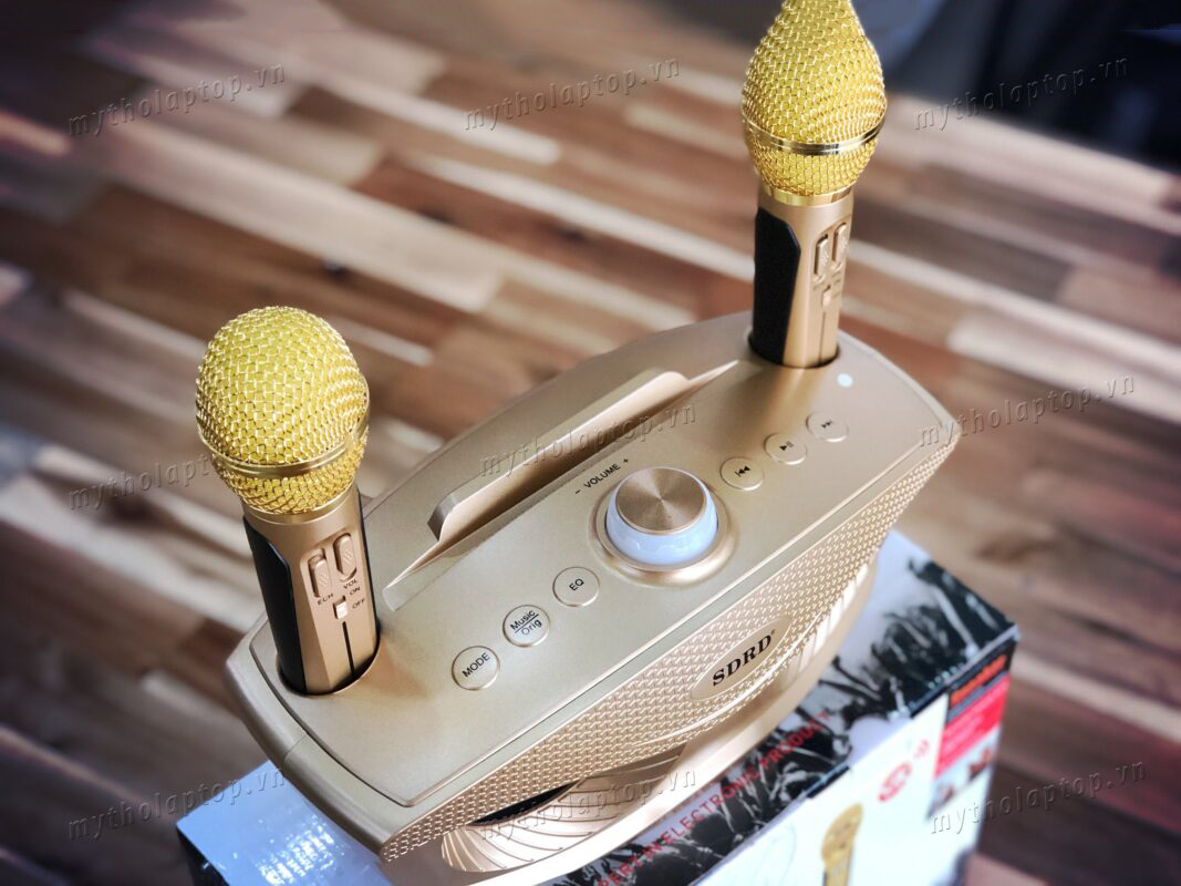 Loa Bluetooth Sdrd 306