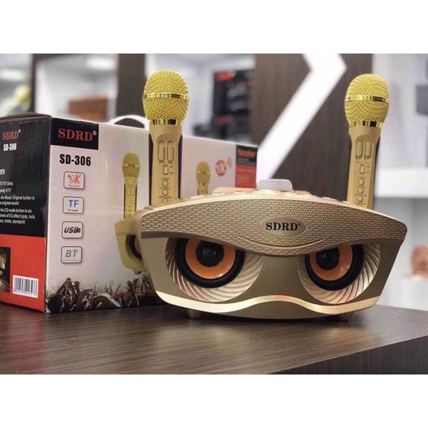Loa Bluetooth Sdrd 306