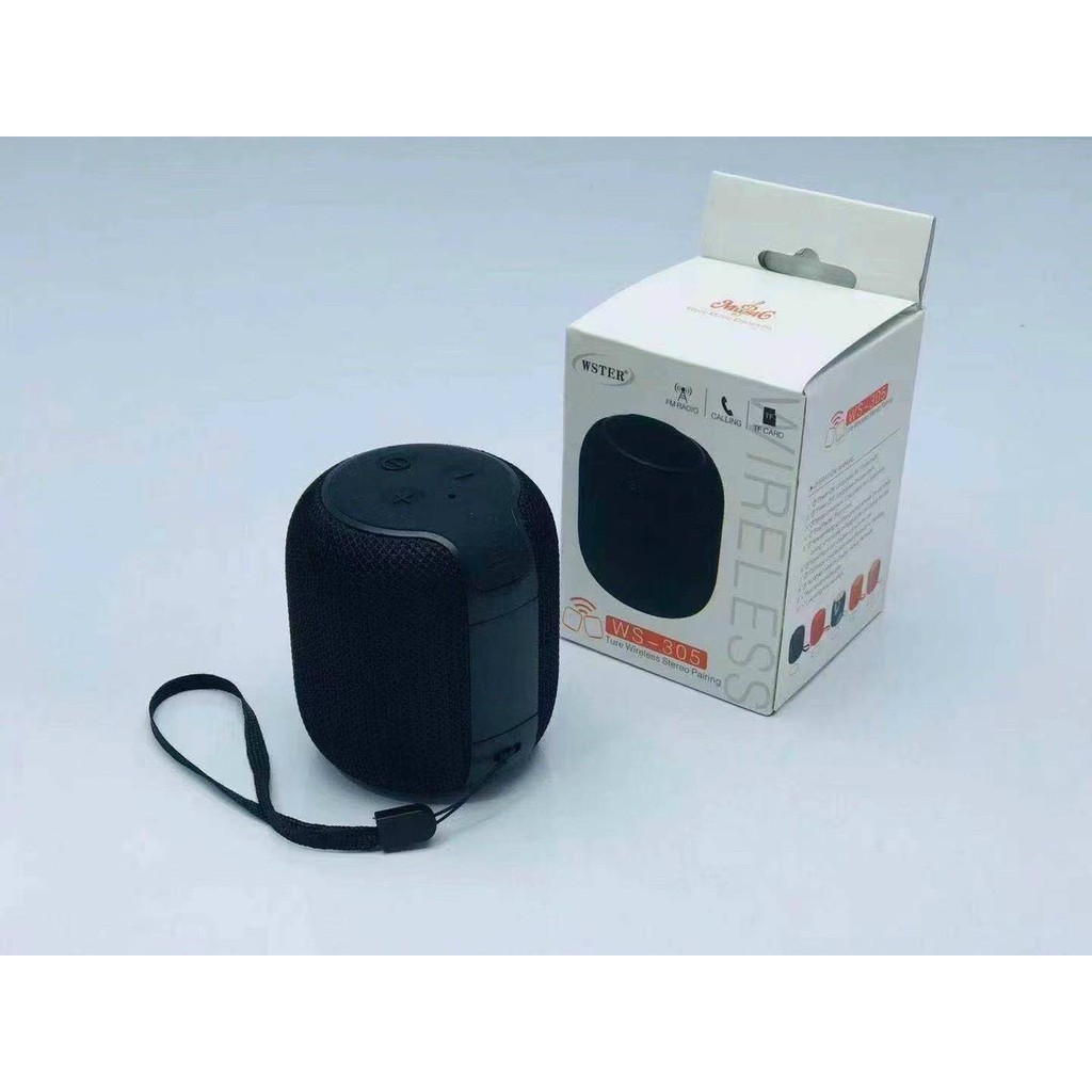 Loa Bluetooth Ws305