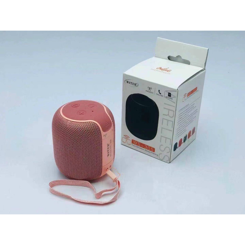 Loa Bluetooth Ws305