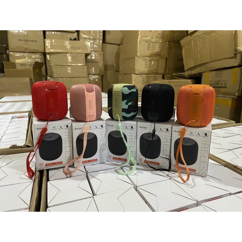 Loa Bluetooth Ws305