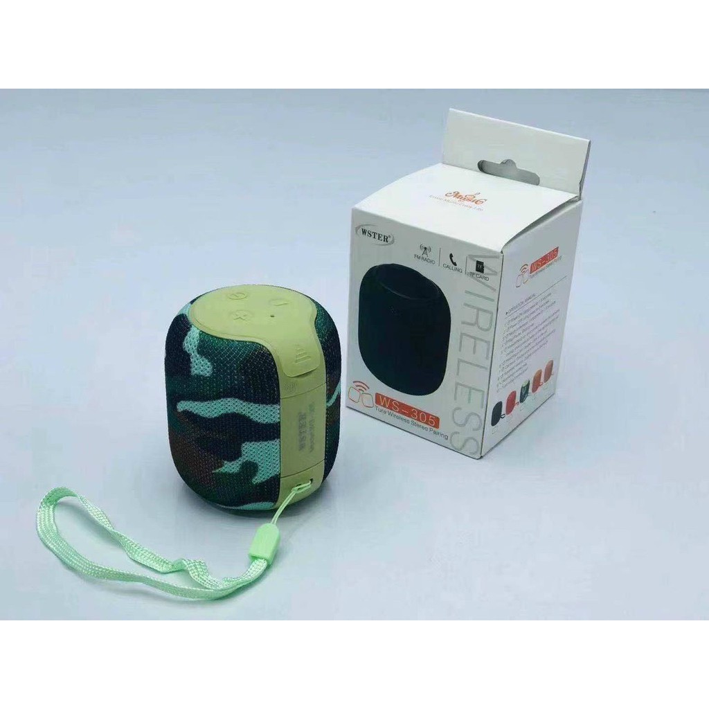 Loa Bluetooth Ws305