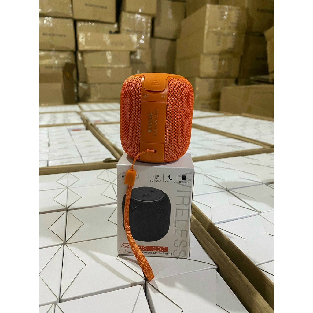 Loa Bluetooth Ws305