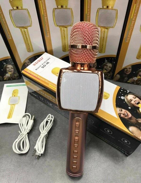 Mic Hát Karaoke Sd16