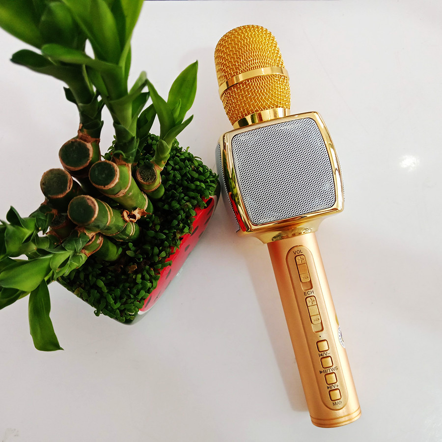 Mic Hát Karaoke Sd16