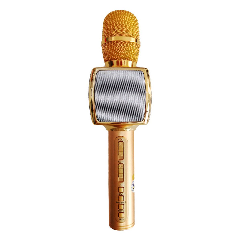 Mic Hát Karaoke Sd16