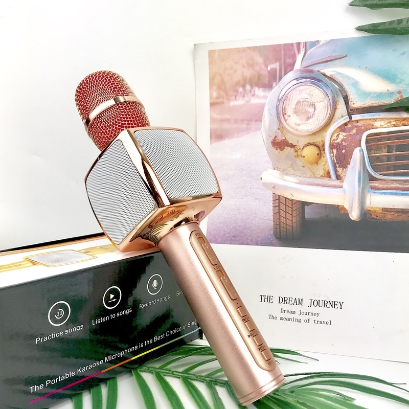 Mic Hát Karaoke Sd16