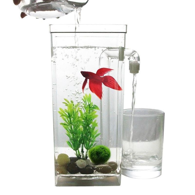 Bể Cá Tự Làm Sạch My Fun Flsh