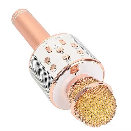 Micro Karaoke Bluetooth 3 Trong 1 Wster Ws-858
