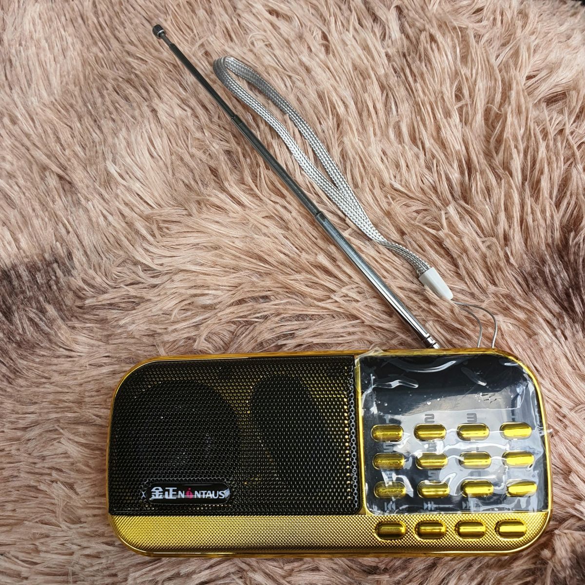 Loa Nghe Nhạc Usb Thẻ Nhớ Fm Cr-836