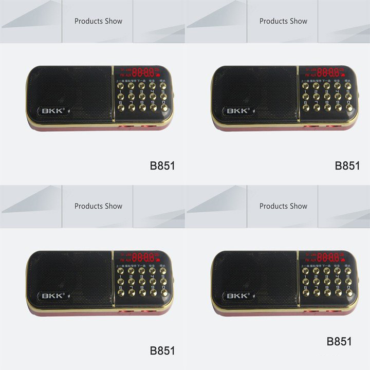 Loa Nghe Nhạc Usb Thẻ Nhớ FM BKK 851
