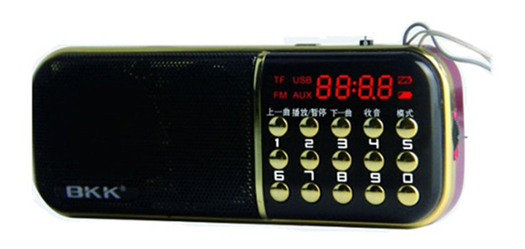 Loa Nghe Nhạc Usb Thẻ Nhớ FM BKK 851