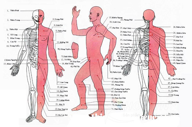 Máy Mát Xa Trị Liệu Syk-208 Tiện Lợi An Toàn Cho Sức Khỏe Máy Mát Xa Trị Liệu Syk-208 Tiện Lợi An Toàn Cho Sức Khỏe
