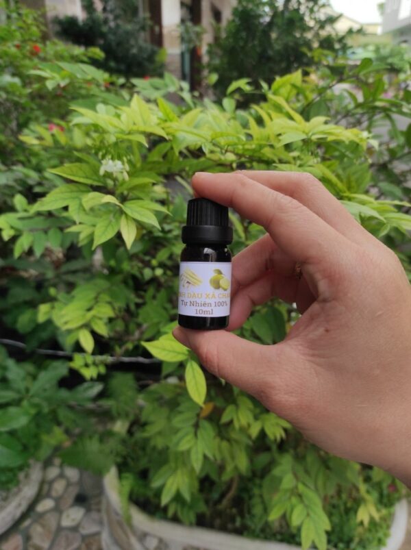 Chai Tinh Dầu Xông Phòng Hương Sả Chanh 10ml