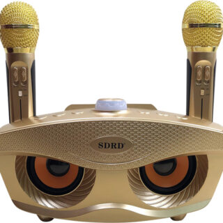Loa Bluetooth Karaoke Mắt Cú SDRD SD-306 Kèm 2 Micro Cực Hay