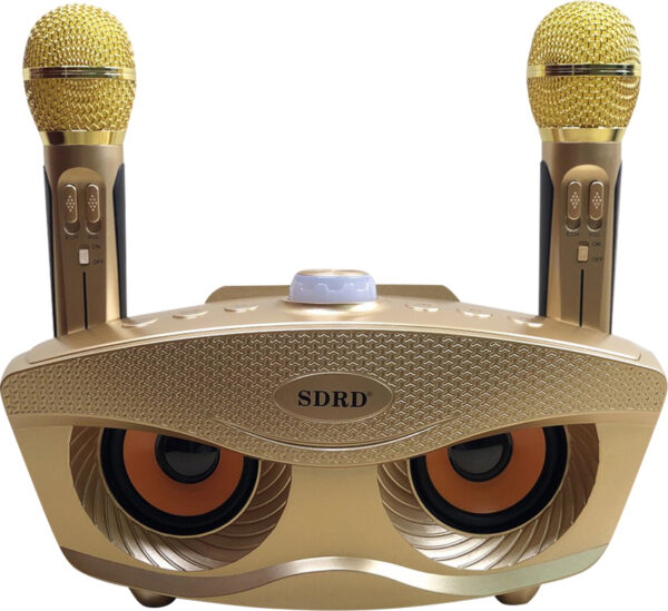 Loa Bluetooth Karaoke Mắt Cú SDRD SD-306 Kèm 2 Micro Cực Hay