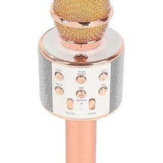 Micro Karaoke Bluetooth 3 Trong 1 Wster Ws-858