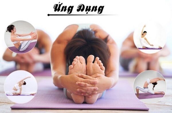 Thảm Tập Yoga PVC 173x61Cm Dày 3 Ly