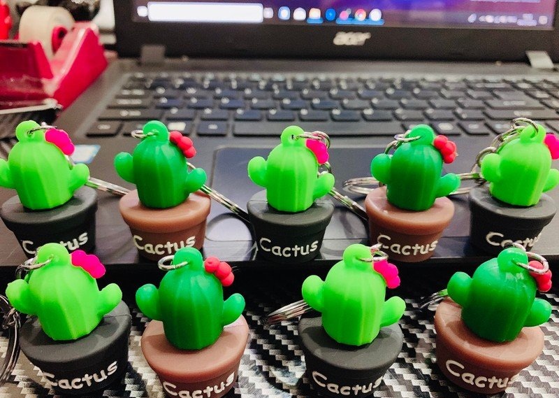 Móc Khóa Cactus Hình Xương Rồng