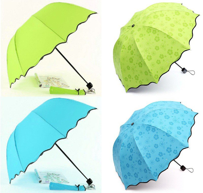 Dù Đi Mưa Nở Hoa Khi Gặp Nước Dù Đi Mưa Nở Hoa Khi Gặp Nước