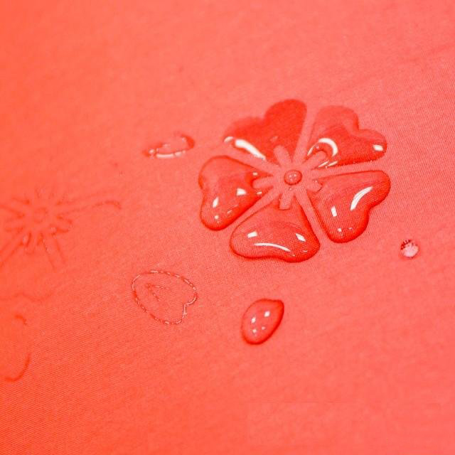 Dù Đi Mưa Nở Hoa Khi Gặp Nước Dù Đi Mưa Nở Hoa Khi Gặp Nước