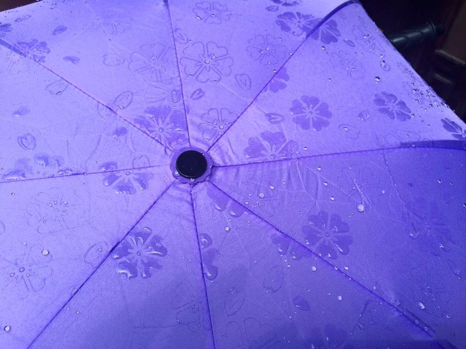 Dù Đi Mưa Nở Hoa Khi Gặp Nước Dù Đi Mưa Nở Hoa Khi Gặp Nước