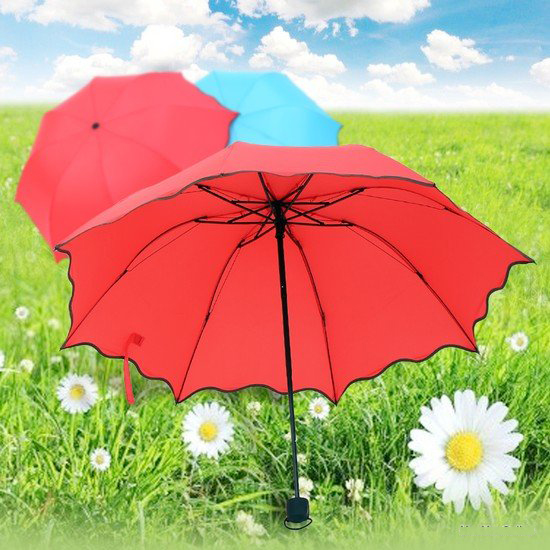 Dù Đi Mưa Nở Hoa Khi Gặp Nước Dù Đi Mưa Nở Hoa Khi Gặp Nước