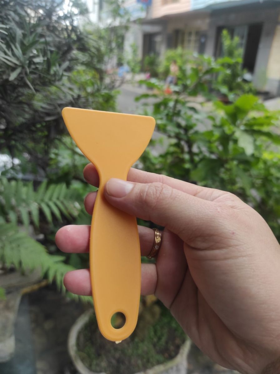 Cây Trám Keo Tường Ngắn Dài Cây Trám Keo Tường Ngắn Dài