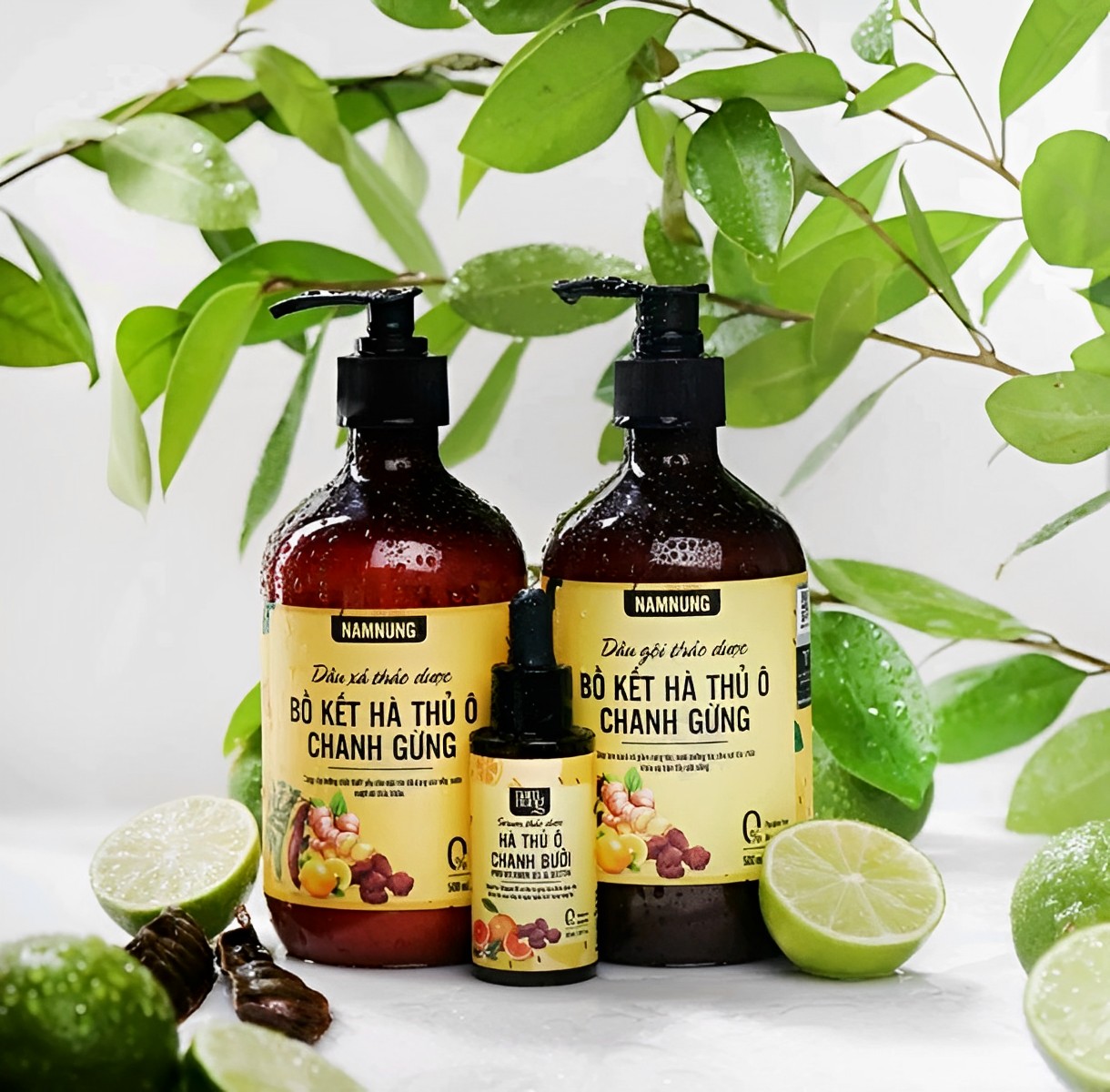 Dầu Gội + Xả Bồ Kết Hà Thủ Ô Chanh Gừng Cô Đặc (Cặp) Dầu Gội + Xả Bồ Kết Hà Thủ Ô Chanh Gừng Cô Đặc (Cặp)