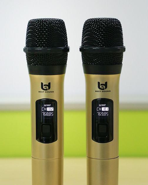 Micro Karaoke Không Dây Model V-W003 - 2 Mic Best Sound