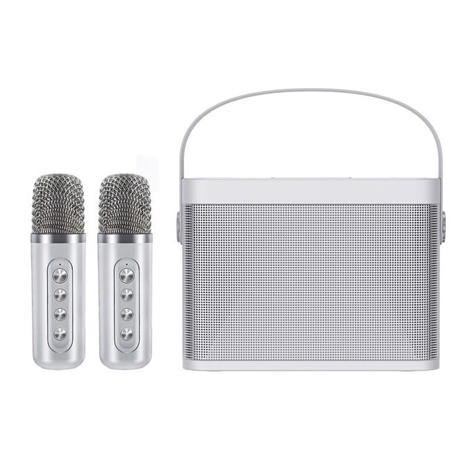 Loa Kèm Mic Ys219