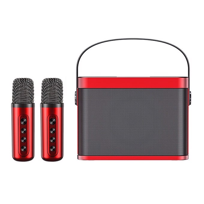 Loa Kèm Mic Ys219