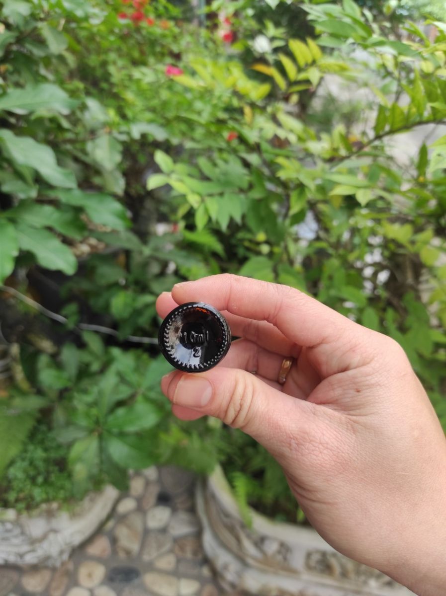 Chai Tinh Dầu Xông Phòng Hương Hoa Hồng 10ml