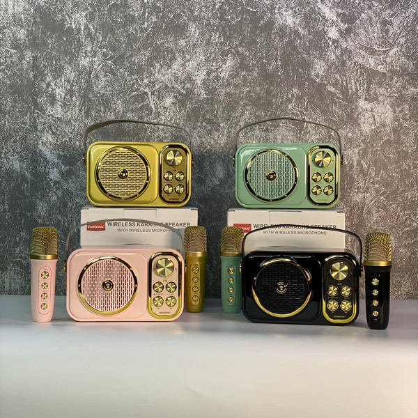 Loa Kèm Mic C12 Mini