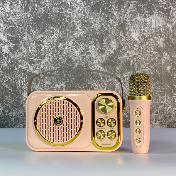 Loa Kèm Mic C12 Mini