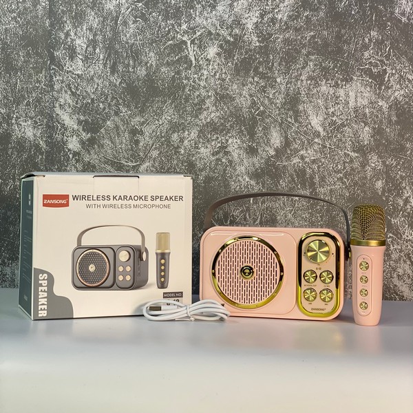 Loa Kèm Mic C12 Mini