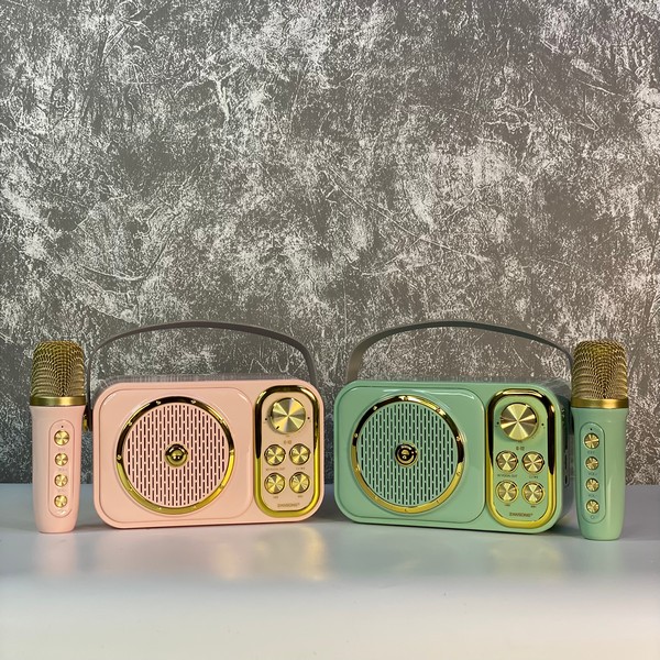 Loa Kèm Mic C12 Mini