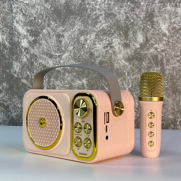 Loa Kèm Mic C12 Mini