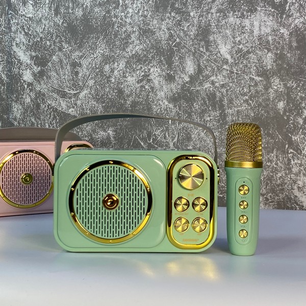 Loa Kèm Mic C12 Mini