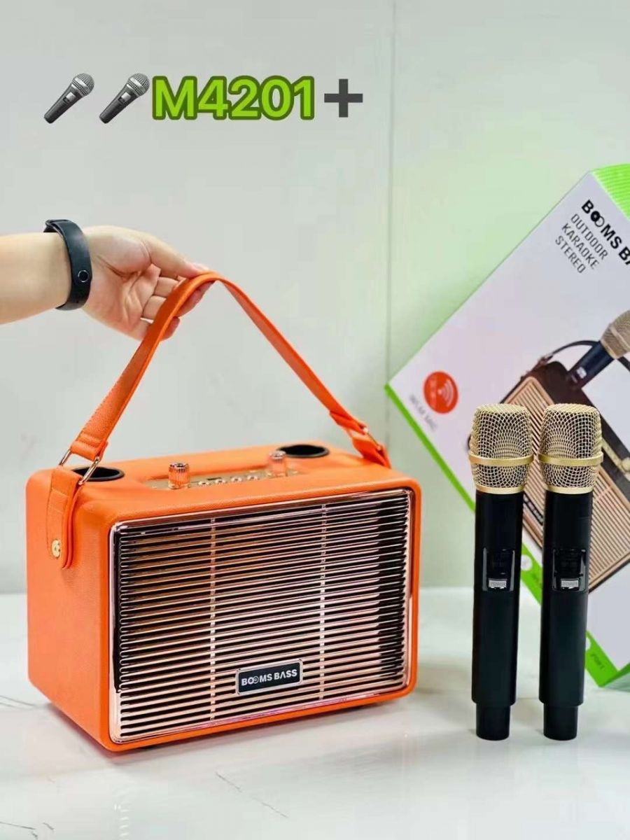 Loa Xách Tay M4201